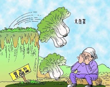 农产品