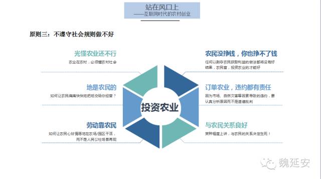 探讨互联网+时代的农村创业