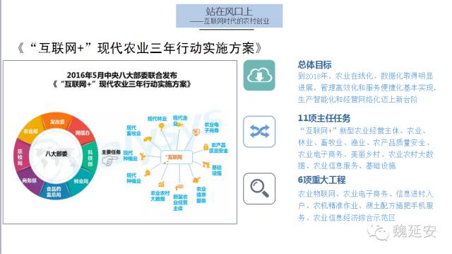 探讨互联网+时代的农村创业