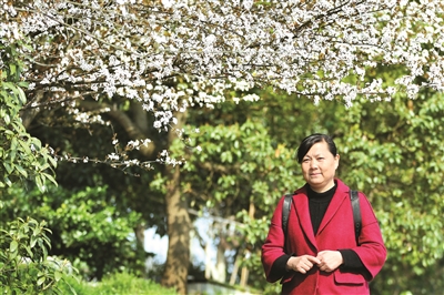 农村电商创业者鲁晓芳