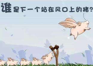 timg