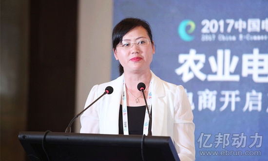 秀山县副县长林成芳：精准脱贫展身手——电商扶贫
