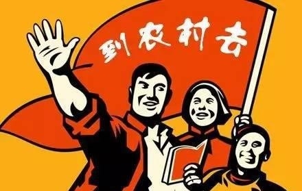 县域农产品电商如何打造爆款?