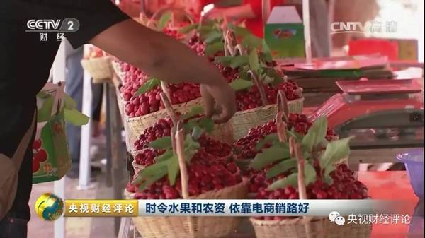 央视财经评论:时令水果和农资依靠电商销路好!
