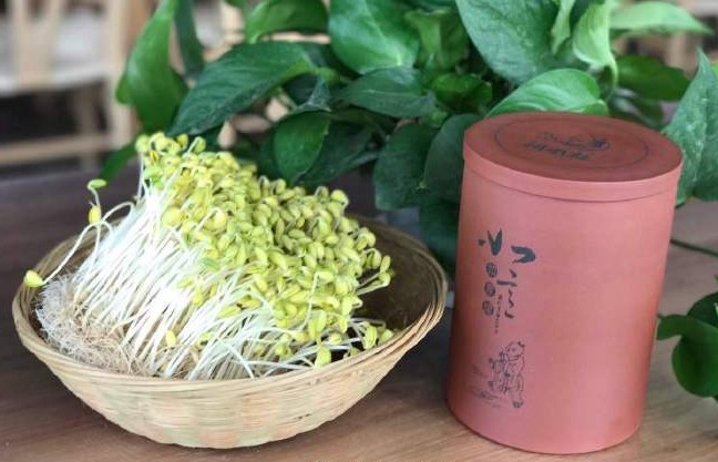 耕云社如意豆芽罐
