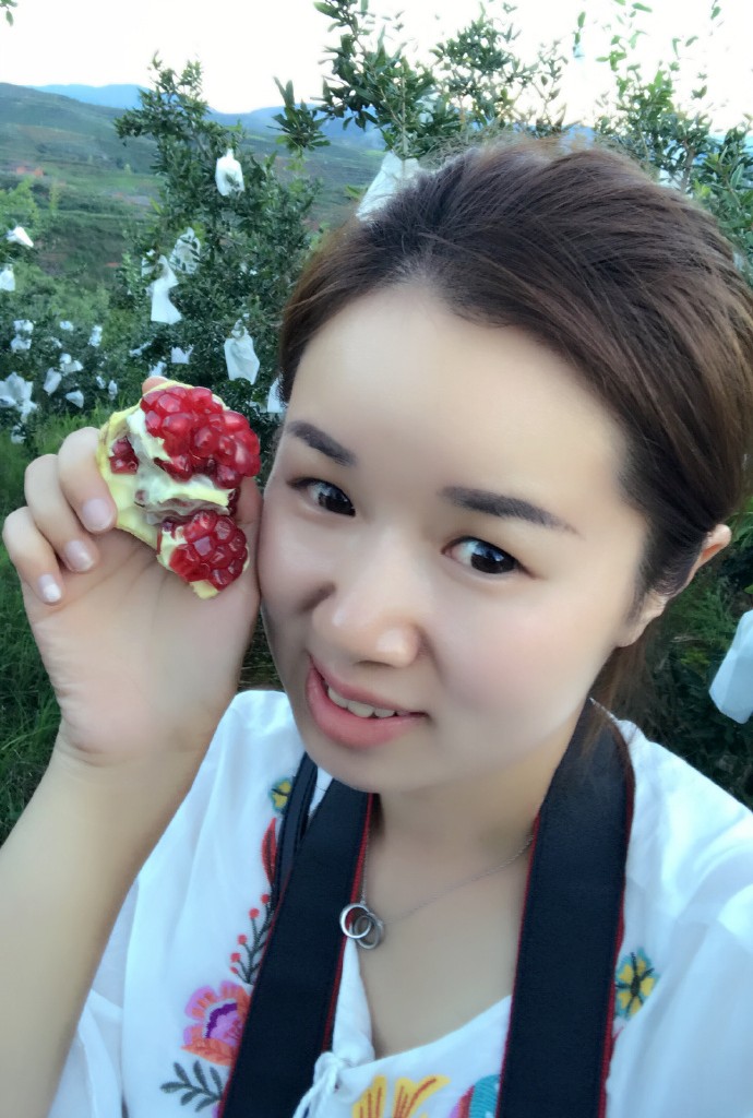 【凉山州会理 突尼斯软籽石榴】可批发，可一件代发。欢迎各渠道合作商代理、洽谈对接！