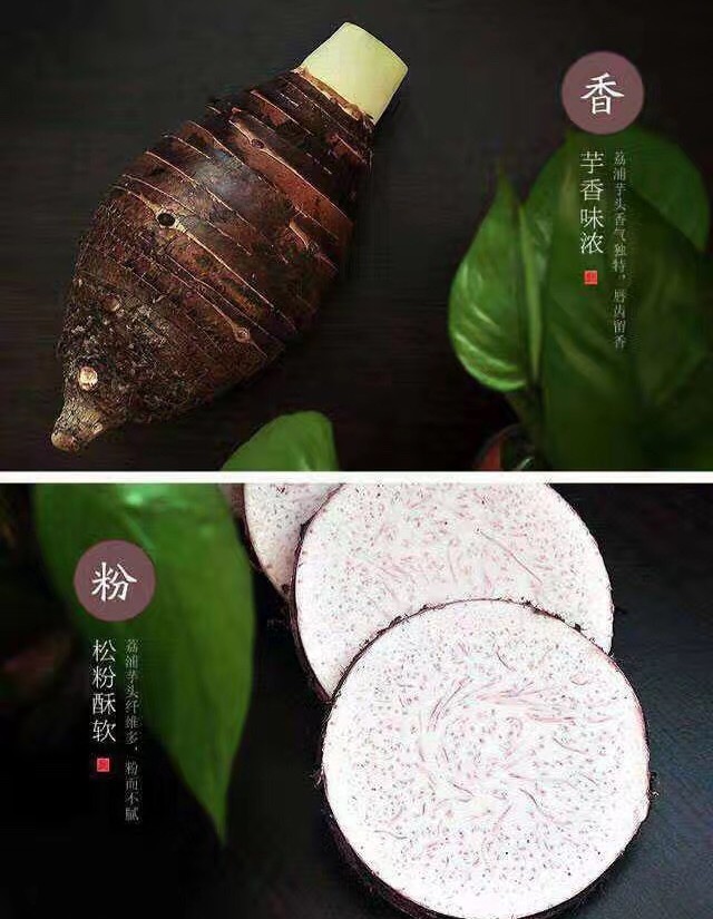 【荔浦香芋】基地直发 热烈期待与各位商城平台、分销代理的大咖合作共赢！
