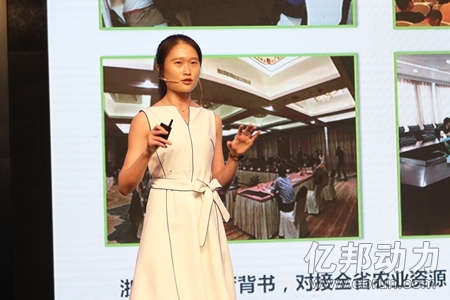 土冒网董事长助理 胡璇