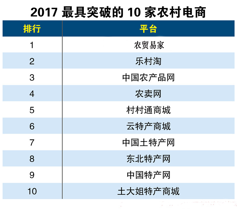 2017最具突破的10家农村电商