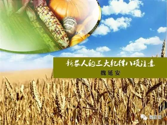 魏延安:新农人的“三大纪律八项注意”