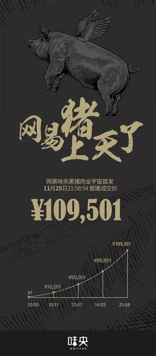 网易黑猪肉