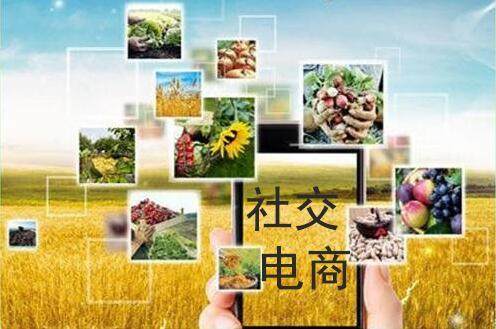社交电商会成为农村电商的破局利器吗？