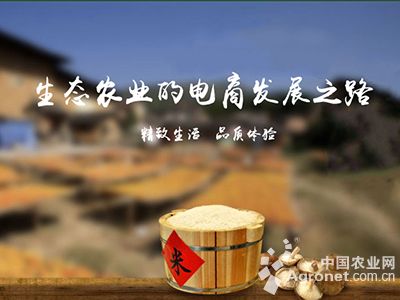 农村电商已进入实力大比拼时代