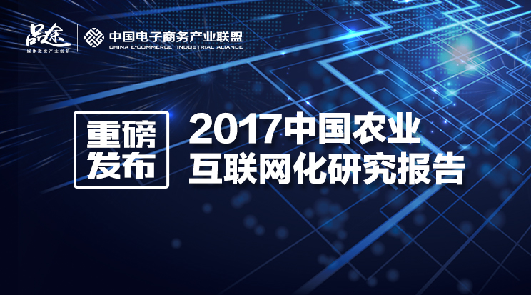 2017中国农业互联网化研究报告