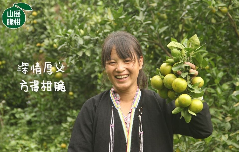 【山瑶脆柑】年度爆品即将上市 曾创4天卖出5000箱 将在11月初上市，欢迎合作