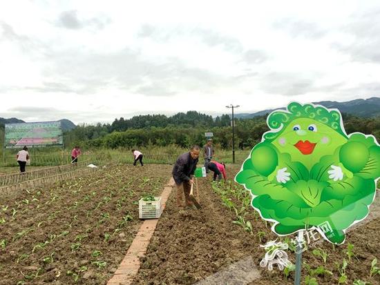 共享农场
