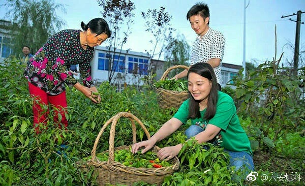 六安霍山县电商女孩卖山里特产年销2000万