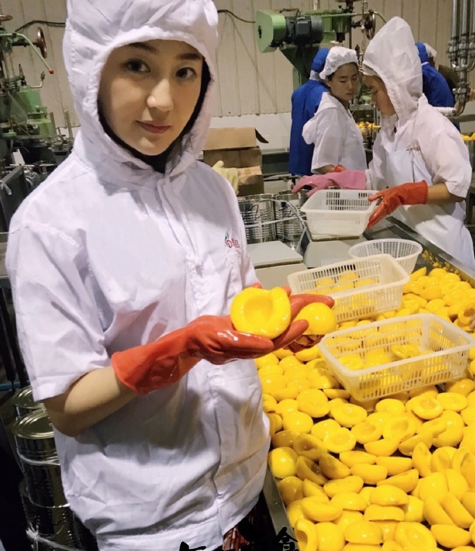 【鸿兴源食品 黄桃罐头】为线上团队寻找更多优质生鲜农特产品 期待各优质平台洽谈合作！