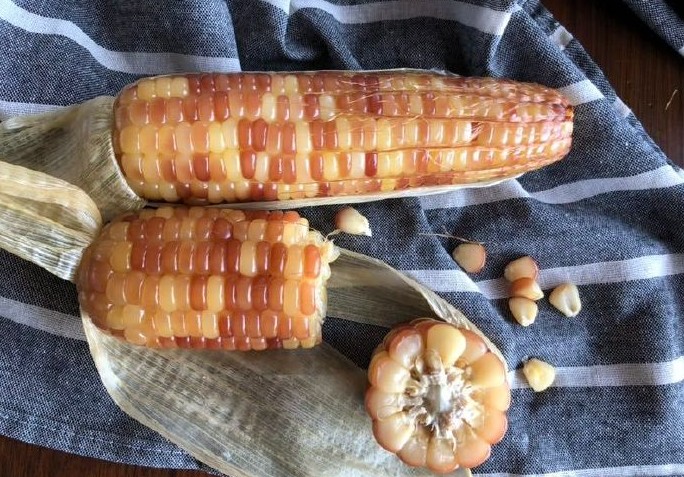 西双版纳香糯小玉米