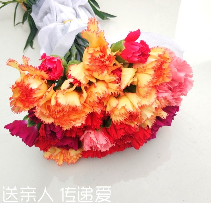 爆品鲜花 鲜可多