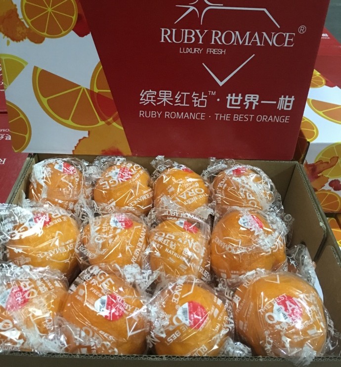 【缤果红钻·春见】现全国发货高峰期，日均发车三辆，线上线下全国各渠道均可对接