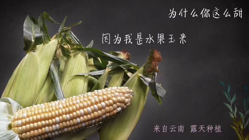 QQ图片20181123092100