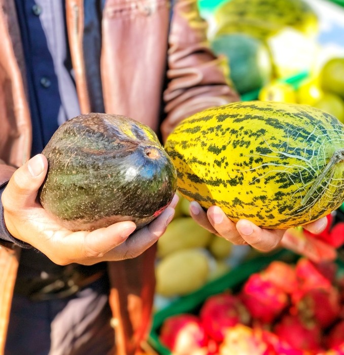 缅甸野生牛油果