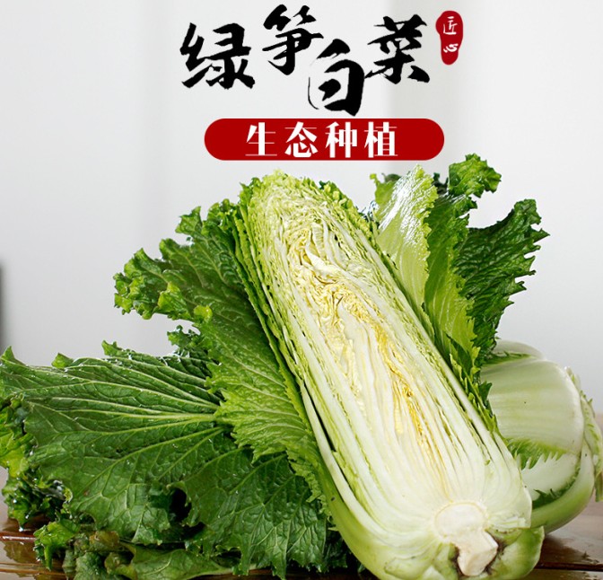 东鲁农轩：大白菜-绿笋