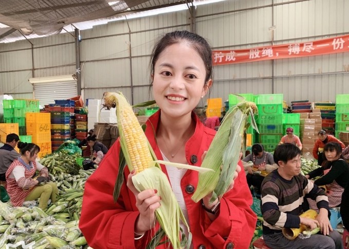云南水果玉米