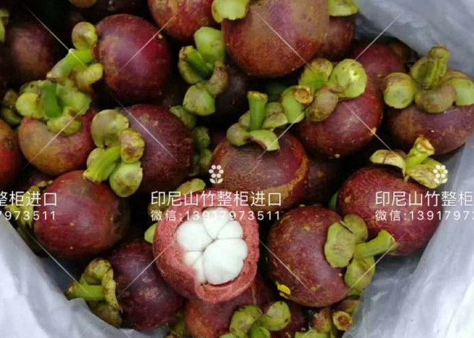 印尼进口山竹13917973511/tianxingjian_93