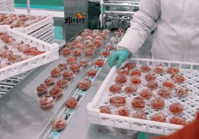 富平柿饼：柿子红了