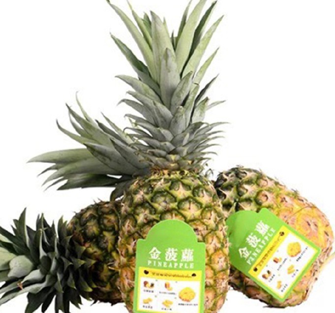 盛盈汇：金菠萝（金凤梨）