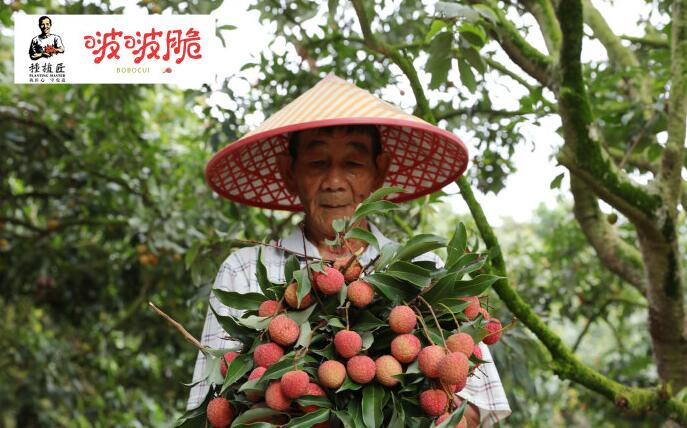 今年荔枝少