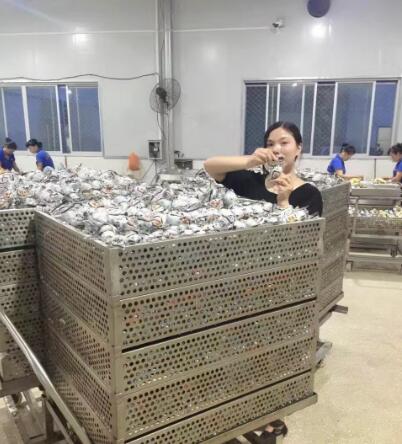 芝扎扎品牌海鸭蛋