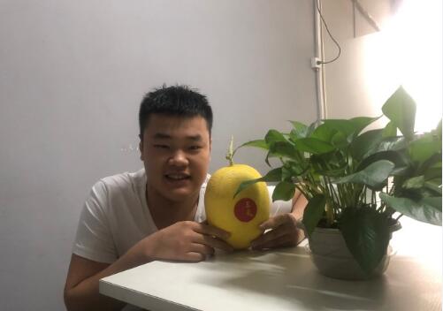 果品控至爱蜜瓜