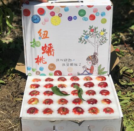 纽扣蟠桃