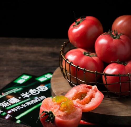新疆半亩园有机农场：西红柿