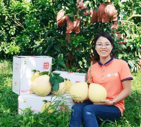 三红蜜柚