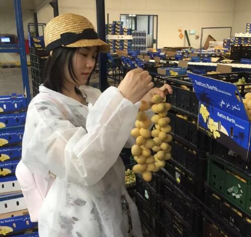 以味道：以色列椰枣