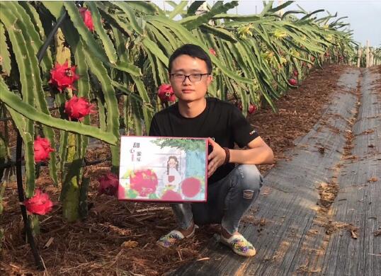甜心蜜乐：火龙果