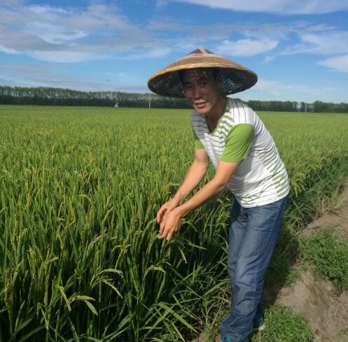 高寒黑土地家庭口粮新米 荒火燎原