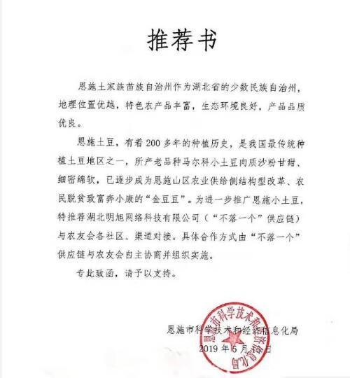 恩施小土豆 网红爆款