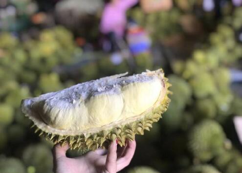 金枕头榴莲