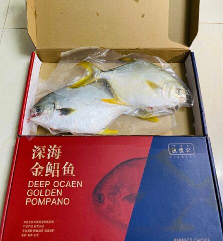渔礼记深海金鲳鱼