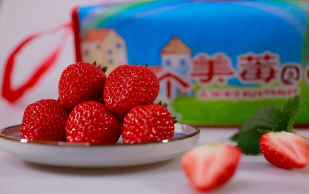 丹​东‎红颜草‎莓