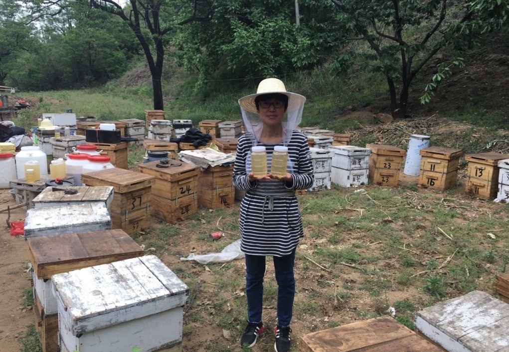 【太行山区：蜂蜜】农家自产自销天然野生纯槐花蜂蜜和野生小枣花蜜