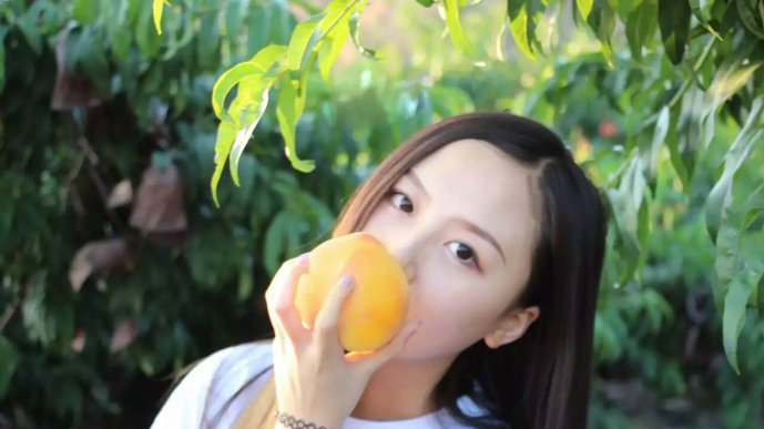 【罐头二姐觅桃记】桃子熟了，黄色的，约吗？