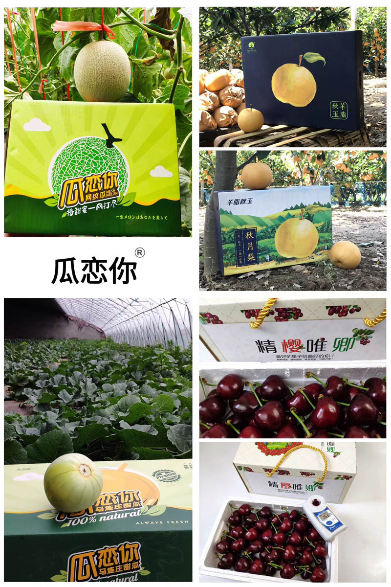 瓜恋你2020930
