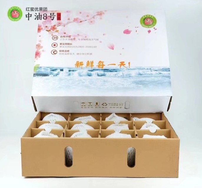油八蜜桃