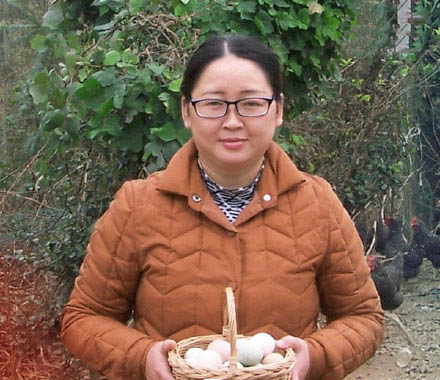 毛姐土鸡蛋20210313